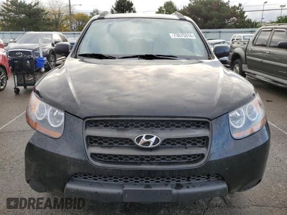 ✅ 2008 Hyundai Santa Fe GLS • VIN: 5NMSG73D98H133654 • Lot: 73875314. Listed on Copart with 192,670 mi. Free auction sales archive from the USA and detailed vehicle history report at DreamBid. Image 5.