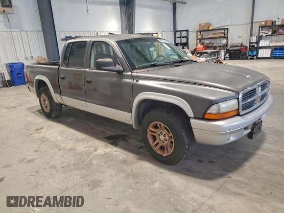 ✅ 2003 Dodge Dakota SLT • VIN: 1D7HL48N23S120057 • Lot: 95710245. Listed on Copart with 209,251 mi. Free auction sales archive from the USA and detailed vehicle history report at DreamBid. Image 4.