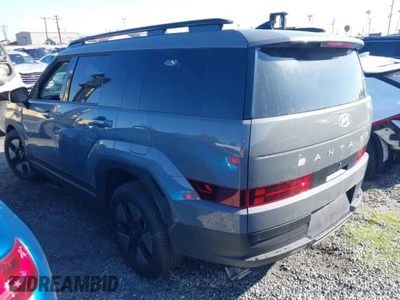 2024 Hyundai Santa Fe SEL с VIN 5NMP24G16RH007191, выставлен на аукционе IAAI как лот 41315881 с пробегом 13 630 миль миль и . История ставок и продаж доступна на DreamBid. Изображение 3.