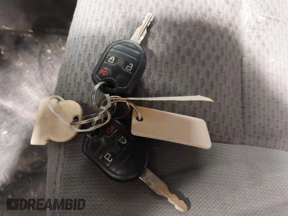 ✅ 2014 Ford F-150 XL • VIN: 1FTFX1EFXEKG20617 • Lot: 41531746. Listed on IAAI with 262,007 mi. Free auction sales archive from the USA and detailed vehicle history report at DreamBid. Image 11.