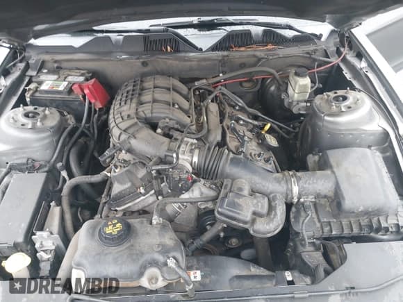 ✅ 2012 Ford Mustang Premium • VIN: 1ZVBP8AM6C5260086 • Lot: 42361831. Listed on IAAI with 262,561 mi. Free auction sales archive from the USA and detailed vehicle history report at DreamBid. Image 10.