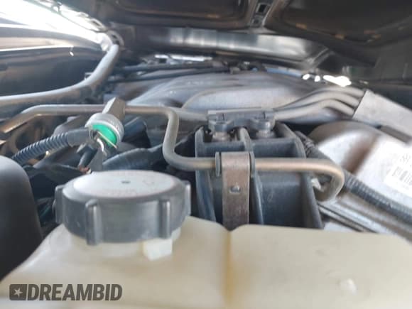 ✅ 1999 Ford Contour SE Fleet • VIN: 1FAFP66L7XK197666 • Lot: 41850926. Listed on IAAI with 132,972 mi. Free auction sales archive from the USA and detailed vehicle history report at DreamBid. Image 10.