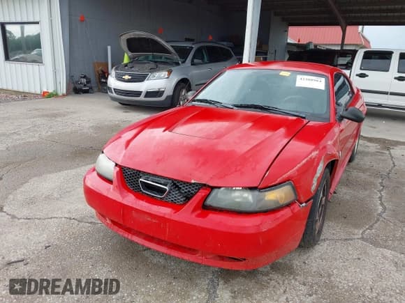 ✅ 2004 Ford Mustang Standard • VIN: 1FAFP40624F172525 • Lot: 42388984. Listed on IAAI with 238,134 mi. Free auction sales archive from the USA and detailed vehicle history report at DreamBid. Image 6.