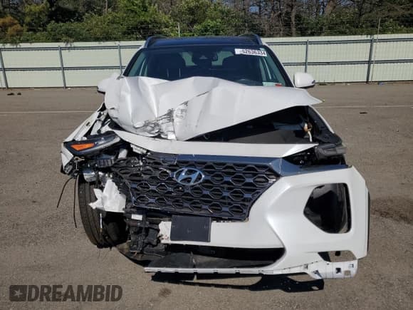 ✅ 2020 Hyundai Santa Fe Limited • VIN: 5NMS5CAA4LH183426 • Lot: 62636334. Listed on Copart with 47,095 mi. Free auction sales archive from the USA and detailed vehicle history report at DreamBid. Image 5.