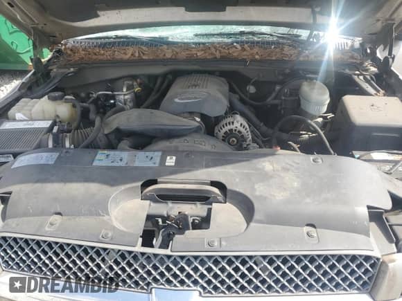 2003 Chevrolet Silverado 1500 LS with VIN 2GCEC19T231258044, listed as a Copart auction lot 84606025 with 174,012 mi miles and Salvage title. Bid and sale history available at DreamBid. Image 11.