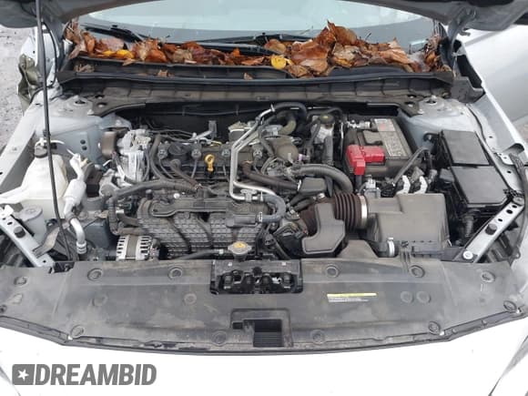 ✅ 2024 Nissan Altima SV • VIN: 1N4BL4DV9RN326799 • Lot: 43908263. Listed on IAAI with 41,543 mi. Free auction sales archive from the USA and detailed vehicle history report at DreamBid. Image 10.