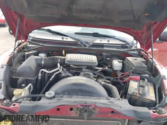 2007 Dodge Dakota SLT with VIN 1D7HW48K57S216736, listed as a IAAI auction lot 42147254 with 38,397 mi miles and . Bid and sale history available at DreamBid. Image 10.