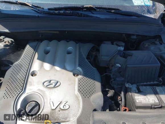 ✅ 2007 Hyundai Santa Fe GLS • VIN: 5NMSG73D37H002895 • Lot: 42977578. Listed on IAAI with 214,757 mi. Free auction sales archive from the USA and detailed vehicle history report at DreamBid. Image 10.