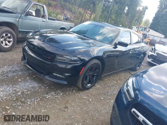 ✅ 2016 Dodge Charger SXT • VIN: 2C3CDXHG2GH178885 • Лот: 43396738. Опубликован ранее на IAAI с пробегом 166 000 миль. Бесплатный доступ к архиву аукционных продаж из США и подробный отчёт об истории автомобиля на DreamBid. Изображение 2.