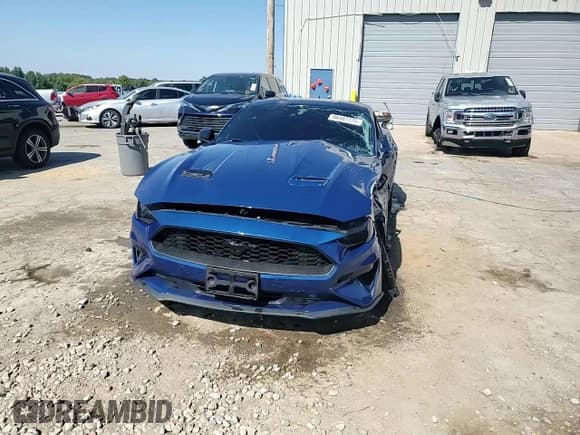 ✅ 2022 Ford Mustang EcoBoost • VIN: 1FA6P8TH6N5126028 • Lot: 86487775. Wystawiony na Copart z przebiegiem 45 860 mil. Bezpłatny archiwum sprzedaży aukcyjnych z USA i szczegółowy raport historii pojazdu na DreamBid. Zdjęcie 13.