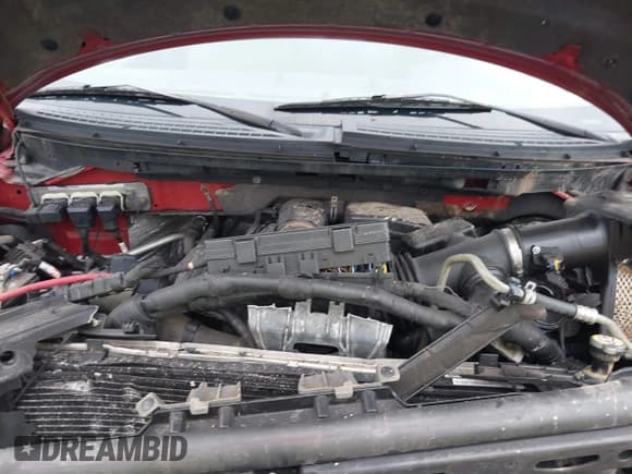 ✅ 2010 Ford F-150 XL • VIN: 1FTFW1CV5AFC10291 • Lot: 42210412. Wystawiony na IAAI z przebiegiem 130 017 mil. Bezpłatny archiwum sprzedaży aukcyjnych z USA i szczegółowy raport historii pojazdu na DreamBid. Zdjęcie 10.