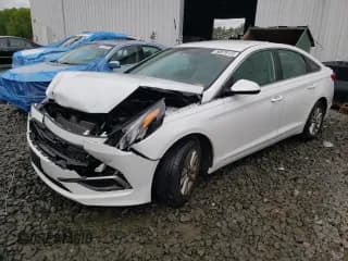 ✅ 2016 Hyundai Sonata SE • VIN: 5NPE24AF3GH313440 • Лот: 50878123. Опубликован ранее на Copart с пробегом 25 835 миль. Бесплатный доступ к архиву аукционных продаж из США и подробный отчёт об истории автомобиля на DreamBid. Изображение 1.