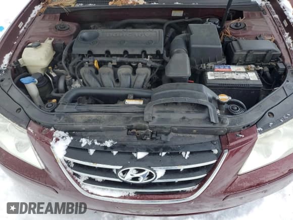 ✅ 2009 Hyundai Sonata GLS • VIN: 5NPET46C59H413229 • Лот: 42957795. Опубликован ранее на Copart с пробегом Не указан. Бесплатный доступ к архиву аукционных продаж из США и подробный отчёт об истории автомобиля на DreamBid. Изображение 11.