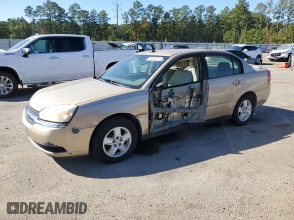 2004 Chevrolet Malibu LS with VIN 1G1ZT54874F120451, listed as a Copart auction lot 76979574 with 134,284 mi miles and Salvage title. Bid and sale history available at DreamBid. Image 1.