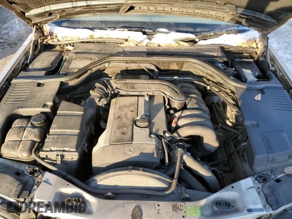 ✅ 1999 Mercedes-Benz S 320/430/500 • VIN: WDBGA33G9XA412054 • Lot: 42012105. Listed on Copart with 151,033 mi. Free auction sales archive from the USA and detailed vehicle history report at DreamBid. Image 11.