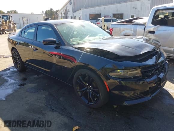 ✅ 2018 Dodge Charger R/T • VIN: 2C3CDXCT6JH252904 • Lot: 43506495. Listed on IAAI with 93,345 mi. Free auction sales archive from the USA and detailed vehicle history report at DreamBid. Image 1.