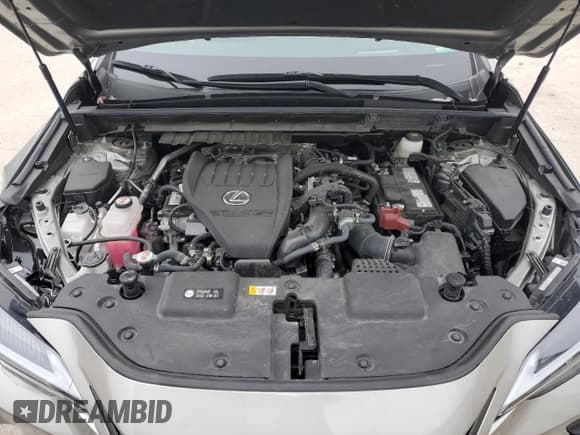 ✅ 2024 Lexus NX 350 Luxury • VIN: 2T2HGCEZ9RC040566 • Лот: 89051335. Опубликован ранее на Copart с пробегом 18 363 миль. Бесплатный доступ к архиву аукционных продаж из США и подробный отчёт об истории автомобиля на DreamBid. Изображение 12.