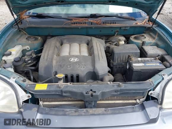 2002 Hyundai Santa Fe GLS with VIN KM8SC73D22U245851, listed as a IAAI auction lot 41733222 with 184,179 mi miles and . Bid and sale history available at DreamBid. Image 10.