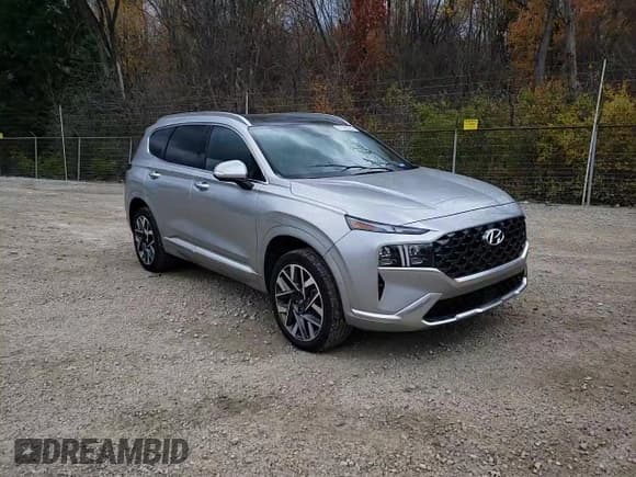✅ 2023 Hyundai Santa Fe Calligraphy • VIN: 5NMS5DAL9PH604070 • Lot: 91495635. Listed on Copart with 23,774 mi. Free auction sales archive from the USA and detailed vehicle history report at DreamBid. Image 14.