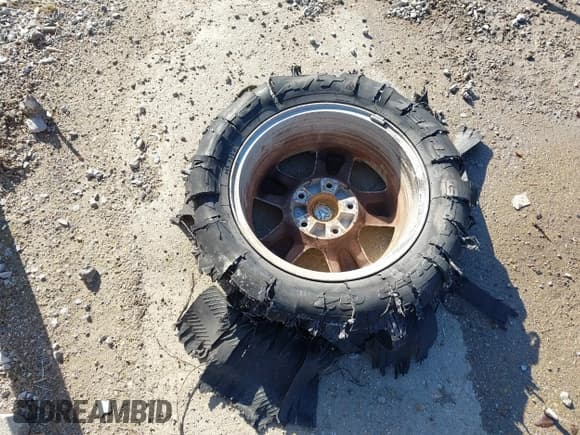 ✅ 2009 Dodge 1500 Laramie • VIN: 1D3HV13T39S740103 • Lot: 41272322. Wystawiony na IAAI z przebiegiem 180 139 mil. Bezpłatny archiwum sprzedaży aukcyjnych z USA i szczegółowy raport historii pojazdu na DreamBid. Zdjęcie 19.