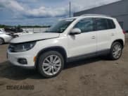 ✅ 2013 Volkswagen Tiguan SE • VIN: WVGBV7AX7DW512304 • Lot: 55928365. Listed on Copart with 142,520 mi. Free auction sales archive from the USA and detailed vehicle history report at DreamBid. Image 1.