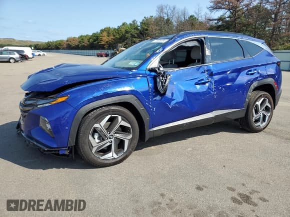 ✅ 2024 Hyundai Tucson Limited • VIN: 5NMJECDE4RH364061 • Lot: 71505334. Wystawiony na Copart z przebiegiem 4 833 mil. Bezpłatny archiwum sprzedaży aukcyjnych z USA i szczegółowy raport historii pojazdu na DreamBid. Zdjęcie 1.