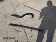 ✅ 2000 Cadillac DeVille DHS • VIN: 1G6KE57Y0YU283347 • Лот: 83781055. Опубликован ранее на Copart с пробегом 137 835 миль. Бесплатный доступ к архиву аукционных продаж из США и подробный отчёт об истории автомобиля на DreamBid. Изображение 12.