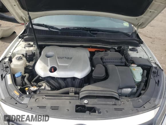 ✅ 2016 Kia Optima • VIN: KNAGM4AD8G5092593 • Lot: 60252305. Listed on Copart with 196,956 mi. Free auction sales archive from the USA and detailed vehicle history report at DreamBid. Image 11.