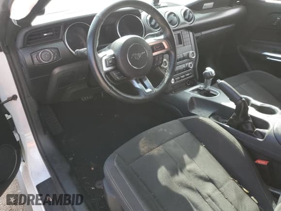 ✅ 2021 Ford Mustang EcoBoost • VIN: 1FA6P8TH6M5146438 • Lot: 80247845. Listed on Copart with Not provided. Free auction sales archive from the USA and detailed vehicle history report at DreamBid. Image 8.