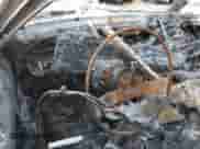 1989 Chevrolet Corvette with VIN 1G1YY3181K5104447, listed as a Copart auction lot 61615325 with Not provided miles and Non repairable. Bid and sale history available at DreamBid. Image 9.