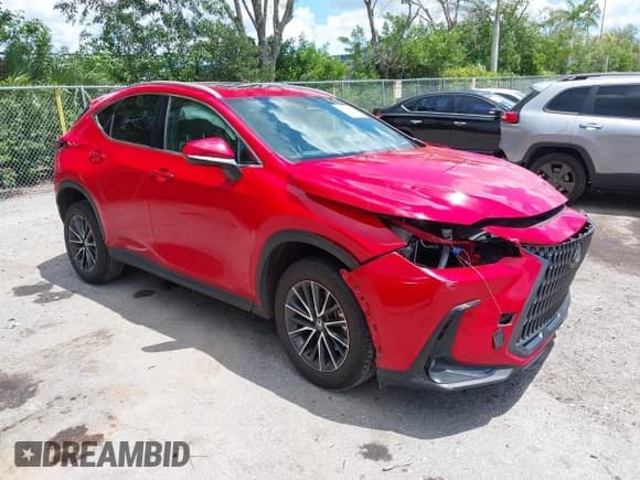 ✅ 2024 Lexus NX 250 • VIN: 2T2ADCAZXRC014980 • Лот: 43062042. Опубликован ранее на IAAI с пробегом 23 843 миль. Бесплатный доступ к архиву аукционных продаж из США и подробный отчёт об истории автомобиля на DreamBid. Изображение 1.