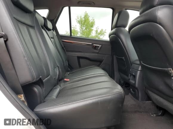 ✅ 2009 Hyundai Santa Fe GL 5Pass • VIN: 5NMSG13E29H259247 • Lot: 57111945. Listed on Copart with 261,283 mi. Free auction sales archive from the USA and detailed vehicle history report at DreamBid. Image 11.