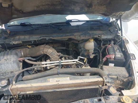 ✅ 2010 Dodge 1500 SLT • VIN: 1D7RB1GT8AS127064 • Lot: 41790917. Wystawiony na IAAI z przebiegiem 280 000 mil. Bezpłatny archiwum sprzedaży aukcyjnych z USA i szczegółowy raport historii pojazdu na DreamBid. Zdjęcie 10.