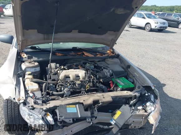 2000 Chevrolet Malibu z VIN 1G1ND52J0Y6238073, wystawiony jako IAAI lot #42885451 z przebiegiem Nie podano mil oraz . Historia ofert i sprzedaży dostępna na DreamBid. Obrazek 10.