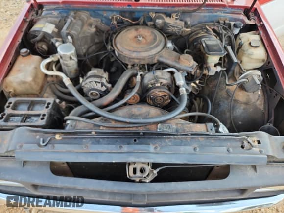 ✅ 1992 GMC Sonoma • VIN: 1GTCS19R2N0519914 • Lot: 80660765. Wystawiony na Copart z przebiegiem 243 370 mil. Bezpłatny archiwum sprzedaży aukcyjnych z USA i szczegółowy raport historii pojazdu na DreamBid. Zdjęcie 11.