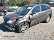 ✅ 2010 Honda CR-V EX-L • VIN: 5J6RE4H76AL039882 • Лот: 43453613. Опубликован ранее на IAAI с пробегом 218 544 миль. Бесплатный доступ к архиву аукционных продаж из США и подробный отчёт об истории автомобиля на DreamBid. Изображение 2.