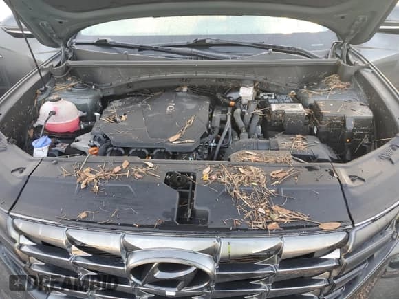 ✅ 2022 Hyundai Tucson Limited • VIN: 5NMJE3AEXNH145944 • Lot: 73851844. Wystawiony na Copart z przebiegiem Nie podano. Bezpłatny archiwum sprzedaży aukcyjnych z USA i szczegółowy raport historii pojazdu na DreamBid. Zdjęcie 12.