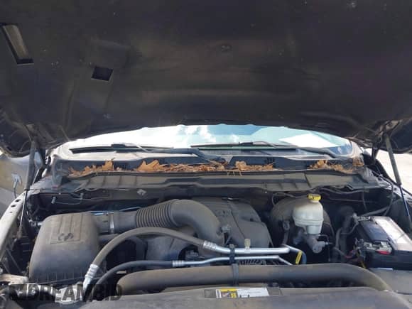 2016 Ram 1500 Express with VIN 1C6RR7FT1GS412473, listed as a IAAI auction lot 42350678 with 136,325 mi miles and . Bid and sale history available at DreamBid. Image 10.