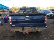 ✅ 2010 Ford F-150 XL • VIN: 1FTEW1E81AFA36612 • Lot: 43781730. Wystawiony na IAAI z przebiegiem 110 211 mil. Bezpłatny archiwum sprzedaży aukcyjnych z USA i szczegółowy raport historii pojazdu na DreamBid. Zdjęcie 16.