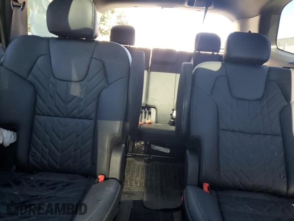 ✅ 2025 Kia Telluride SX X-Line • VIN: 5XYP5DGC5SG649118 • Lot: 82638105. Wystawiony na Copart z przebiegiem 6 676 mil. Bezpłatny archiwum sprzedaży aukcyjnych z USA i szczegółowy raport historii pojazdu na DreamBid. Zdjęcie 10.