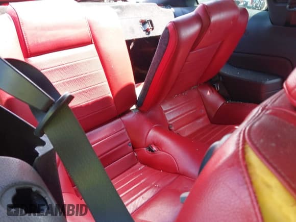 ✅ 2008 Ford Mustang GT Deluxe • VIN: 1ZVHT82H085147779 • Lot: 42927754. Listed on IAAI with 200,463 mi. Free auction sales archive from the USA and detailed vehicle history report at DreamBid. Image 8.