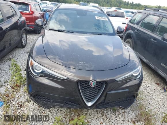 ✅ 2018 Alfa Romeo Stelvio Sport • VIN: ZASFAKPN5J7B87823 • Лот: 71239595. Опубликован ранее на Copart с пробегом 62 332 миль. Бесплатный доступ к архиву аукционных продаж из США и подробный отчёт об истории автомобиля на DreamBid. Изображение 5.