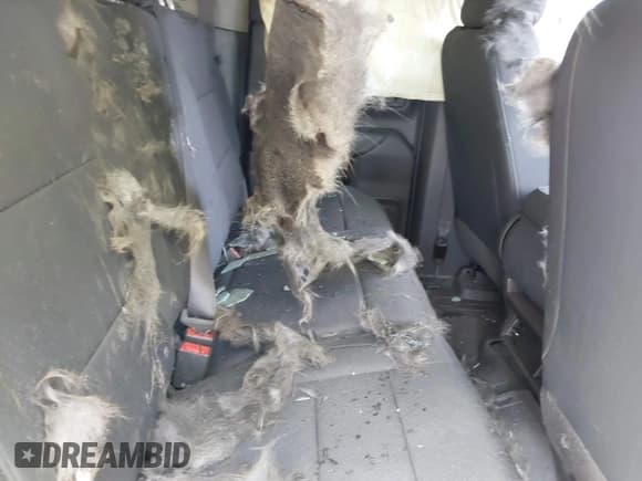 ✅ 2020 Chevrolet Silverado 1500 Custom • VIN: 1GCRWBEF0LZ133727 • Lot: 39838746. Wystawiony na IAAI z przebiegiem Nie podano. Bezpłatny archiwum sprzedaży aukcyjnych z USA i szczegółowy raport historii pojazdu na DreamBid. Zdjęcie 8.