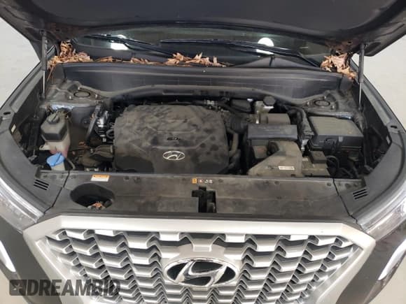 ✅ 2021 Hyundai Palisade SEL • VIN: KM8R34HE3MU305282 • Лот: 86668054. Опубликован ранее на Copart с пробегом 67 406 миль. Бесплатный доступ к архиву аукционных продаж из США и подробный отчёт об истории автомобиля на DreamBid. Изображение 12.