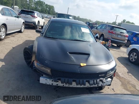 ✅ 2017 Dodge Charger Daytona 340 • VIN: 2C3CDXCT7HH520255 • Lot: 42724752. Wystawiony na IAAI z przebiegiem 159 053 mil. Bezpłatny archiwum sprzedaży aukcyjnych z USA i szczegółowy raport historii pojazdu na DreamBid. Zdjęcie 12.