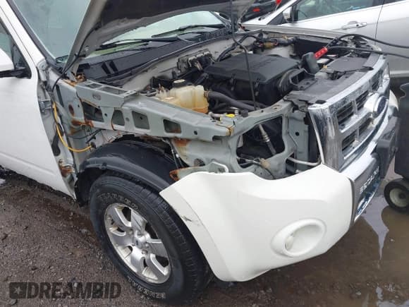 ✅ 2009 Ford Escape Limited • VIN: 1FMCU94G09KB77240 • Lot: 42321802. Wystawiony na IAAI z przebiegiem 143 127 mil. Bezpłatny archiwum sprzedaży aukcyjnych z USA i szczegółowy raport historii pojazdu na DreamBid. Zdjęcie 6.