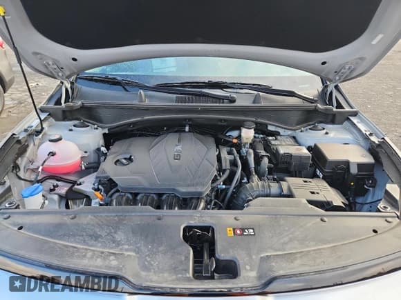 ✅ 2024 Kia Sportage SX-Prestige • VIN: 5XYK5CDF3RG180253 • Lot: 86682265. Wystawiony na Copart z przebiegiem 11 341 mil. Bezpłatny archiwum sprzedaży aukcyjnych z USA i szczegółowy raport historii pojazdu na DreamBid. Zdjęcie 12.