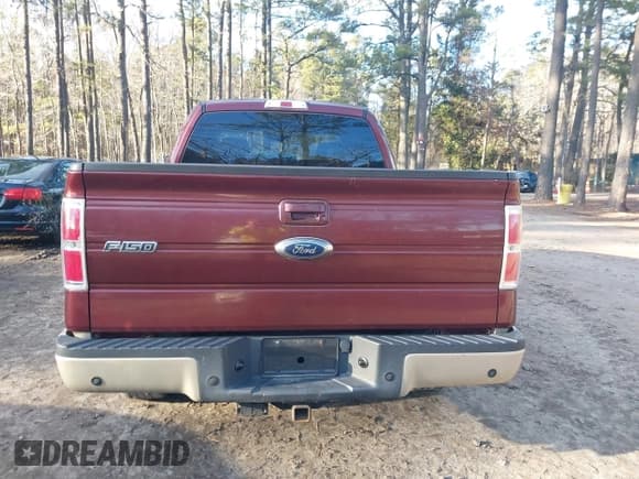 ✅ 2009 Ford F-150 XLT • VIN: 1FTRX12VX9FA78183 • Lot: 41461368. Wystawiony na IAAI z przebiegiem 105 358 mil. Bezpłatny archiwum sprzedaży aukcyjnych z USA i szczegółowy raport historii pojazdu na DreamBid. Zdjęcie 16.