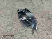 ✅ 2019 Hyundai Santa Fe Preferred • VIN: 5NMS3CAA6KH038117 • Lot: 62792735. Wystawiony na Copart z przebiegiem 90 138 mil mil. Skorzystaj z bezpłatnego archiwum sprzedaży aukcyjnych z USA i zobacz szczegółowy raport historii pojazdu na DreamBid. Zdjęcie 13.