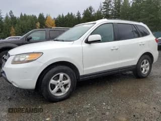✅ 2007 Hyundai Santa Fe GLS • VIN: 5NMSG13D97H069644 • Lot: 78723864. Listed on Copart with 154,258 mi. Free auction sales archive from the USA and detailed vehicle history report at DreamBid. Image 1.
